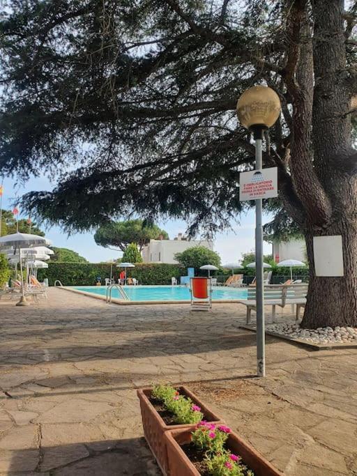 Ccc Holiday Properties Le Vele Ccc Montalto di Castro Eksteriør bilde