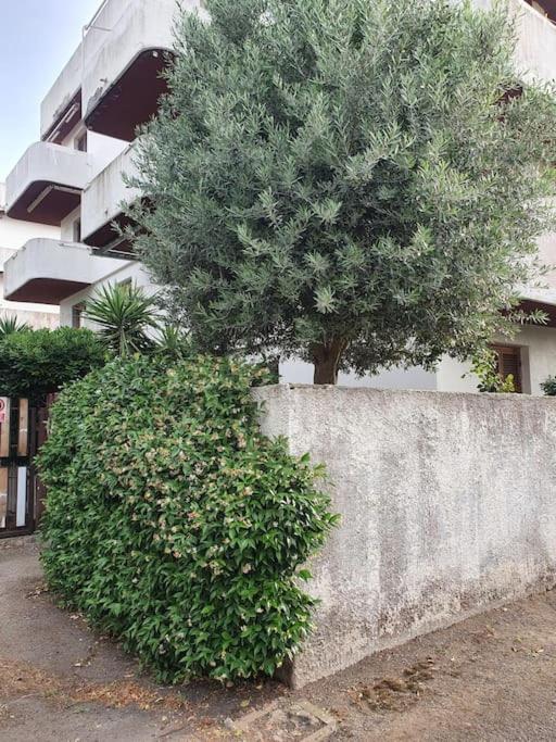 Ccc Holiday Properties Le Vele Ccc Montalto di Castro Eksteriør bilde
