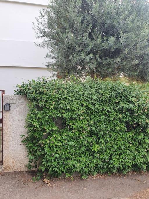 Ccc Holiday Properties Le Vele Ccc Montalto di Castro Eksteriør bilde