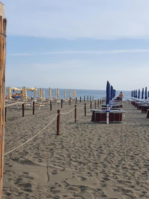 Ccc Holiday Properties Le Vele Ccc Montalto di Castro Eksteriør bilde