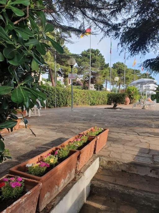 Ccc Holiday Properties Le Vele Ccc Montalto di Castro Eksteriør bilde